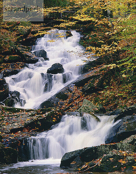Wasserfall  Gatineau Park  Quebec  Kanada