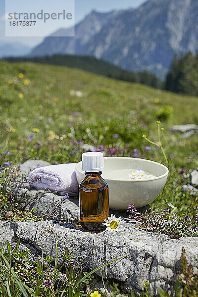 Homöopathische Medizin und Kamille  Strobl  Salzburger Land  Österreich