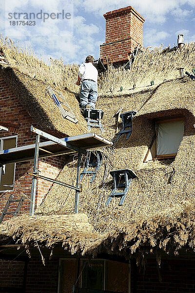 Dachdecker auf dem Dach  Sylt  Deutschland