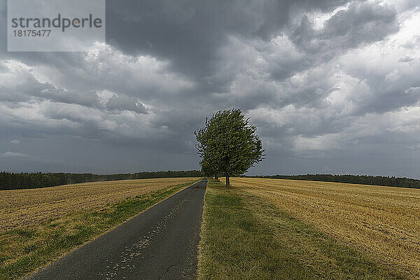 Feldlandschaft mit Straße und aufziehendem Gewitter im Sommer  Neudorf  Amorbach  Bayern  Deutschland