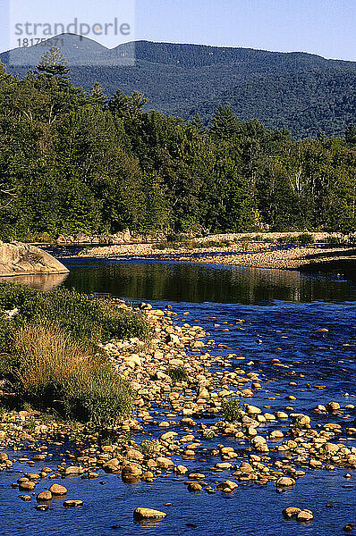 Pemigewasset River  White Mountain National Forest  New Hampshire  USA