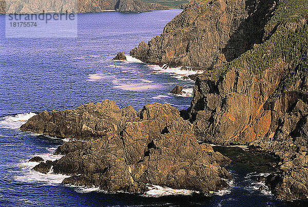 Felsige Küstenlinie Long Point  Twillingate Island Neufundland und Labrador  Kanada