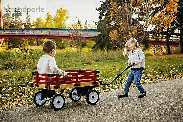 Junges Mädchen zieht ihren Bruder im Herbst in einem Wagen in einem Stadtpark entlang eines Flusses; St. Albert  Alberta  Kanada