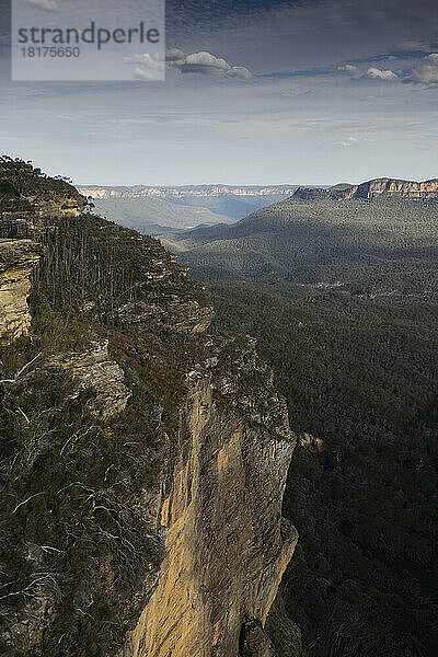 Malerische Aussicht auf das Hochplateau im Blue Mountains National Park in New South Wales  Australien
