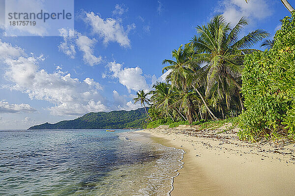 Anse Forbans-Küstenlinie mit Palmen  Mahe  Seychellen