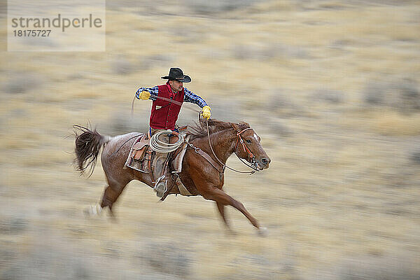 Verschwommene Bewegung eines Cowboys auf einem Pferd  das in der Wildnis galoppiert  Rocky Mountians  Wyoming  USA