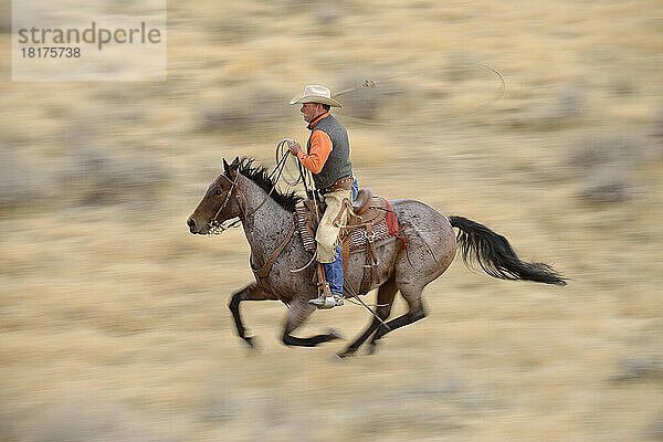 Verschwommene Bewegung eines Cowboys auf einem Pferd  das in der Wildnis galoppiert  Rocky Mountains  Wyoming  USA