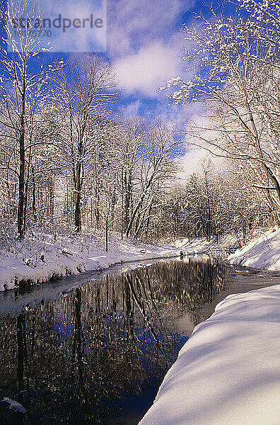 Winter  Gatineau Park  Quebec  Canada