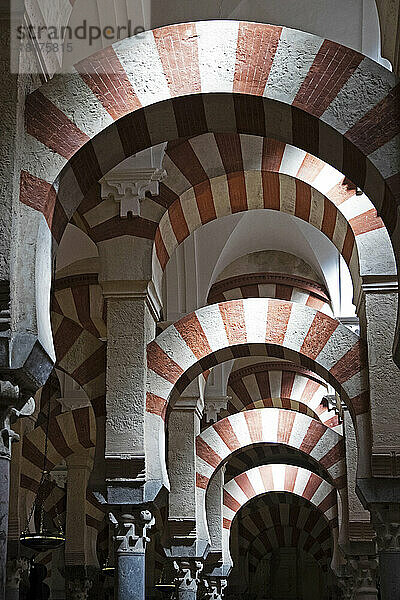 Interior of Mezquita-Catedral de Cordoba in Cordoba  iAndalucia  Spain