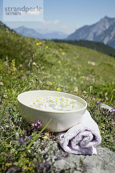 Schale mit Wasser und Kamille  Strobl  Salzburger Land  Österreich