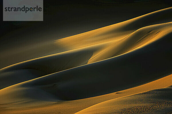 Nahaufnahme von Sanddünen bei Sonnenuntergang  Matruh  Großes Sandmeer  Libysche Wüste  Sahara  Ägypten  Nordafrika  Afrika