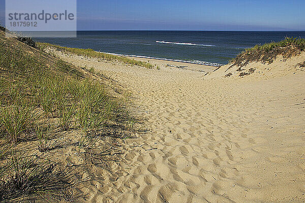 Sanddünen  Marconi Beach  Cape Cod National Seashore  Wellfleet  Cape Cod  Massachusetts  USA