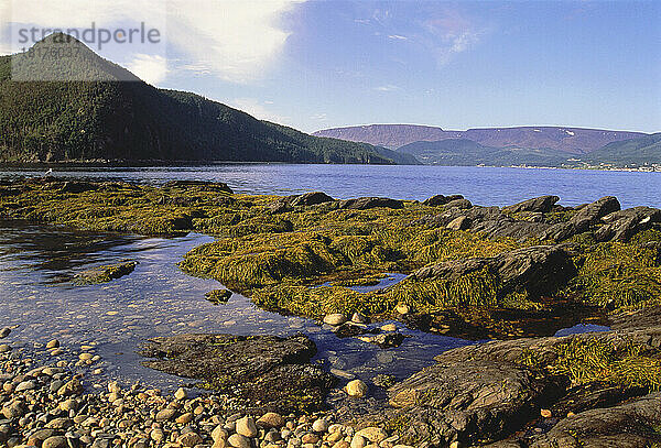 Norris Point Gros Morne Nationalpark Neufundland und Labrador  Kanada