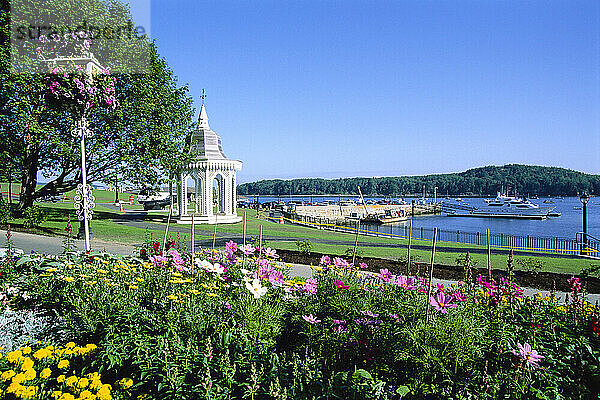 Übersicht über den Hafen  Bar Harbor  Mount Desert Island  Maine  USA