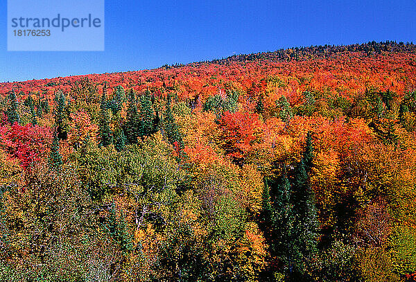 Klippe und Berge im Herbst Dixville Notch State Park New Hampshire  USA