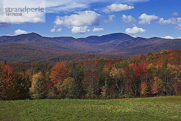Herbstlandschaft  Stowe  Vermont  USA