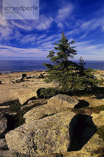 Schoodic Point  Acadia-Nationalpark  Maine  USA