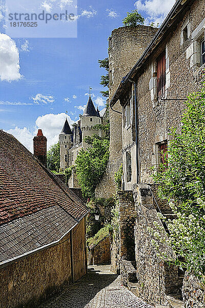 Chateau de Montresor  Montresor  Indre-et-Loire  Loiretal  Frankreich