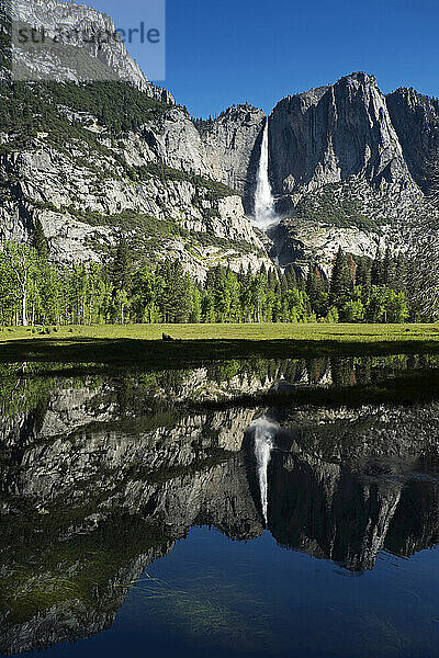 Yosemite Falls spiegelt sich im Merced River im Yosemite-Nationalpark in Kalifornien  USA