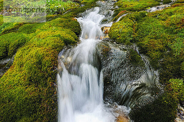 Fließendes Wasser durch moosbedeckte Felsen  Trentino-Südtirol  Dolomiten  Italien