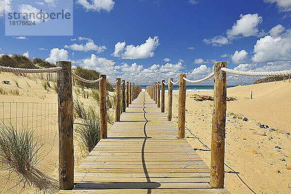 Holzsteg durch Sanddünen  der zum Strand  Cascais  Lissabon  Portugal führt