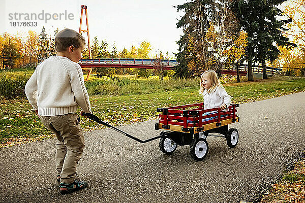 Kleiner Junge zieht seine Schwester im Herbst in einem Wagen in einem Stadtpark entlang eines Flusses; St. Albert  Alberta  Kanada
