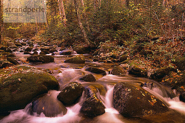 Israel River  White Mountain National Forest  New Hampshire  USA