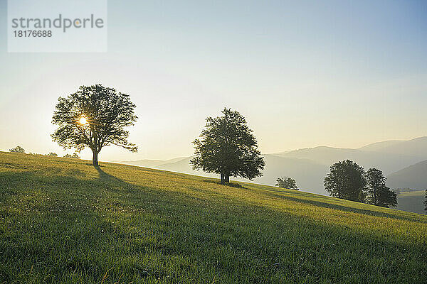 Sonnenaufgang über der Hügellandschaft  Mount Schauinsland  Freiburg im Breisgau  Schwarzwald  Baden-Württemberg  Deutschland