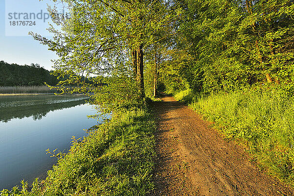 Weg am Fluss am Morgen im Frühling  Niedernberg  Bezirk Miltenberg  Churfranken  Franken  Bayern  Deutschland