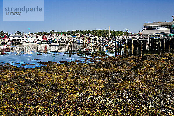 Boothbay Harbor  Maine  USA