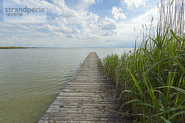 Holzsteg mit Schilf in Weiden am See  Neusiedler See  Burgenland  Österreich