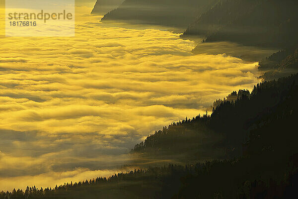 Morgendämmerung über Wolken in den Bergen  Gurnigel  Alpen  Bern  Schweiz