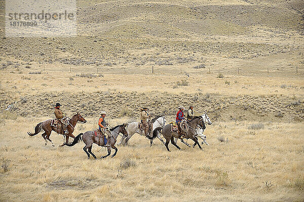 Cowboys und Cowgirls reiten in der Wildnis  Rocky Mountains  Wyoming  USA