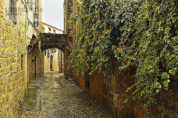 Szene aus der Altstadt  Rhodos-Stadt  Rhodos  Dodekanes  Ägäis  Griechenland  Europa