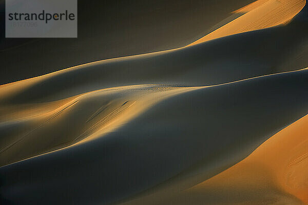 Nahaufnahme von Sanddünen bei Sonnenuntergang  Matruh  Großes Sandmeer  Libysche Wüste  Sahara  Ägypten  Nordafrika  Afrika