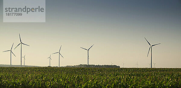 Windpark und Feld  Deutschland.