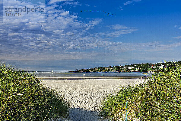 Pfad am Wingaersheek Beach  Gloucester  Cape Ann  Massachusetts  USA