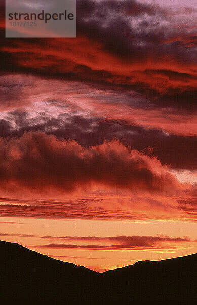 Sonnenuntergang  Kamieskroon  Namaqualand  Südafrika