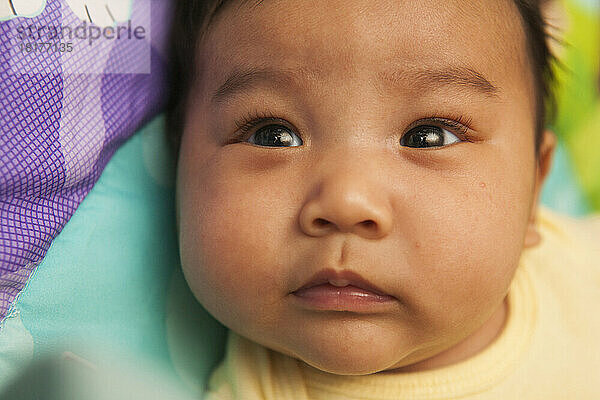 Close-up portrait of two month old Asian baby lying on back  studio shot