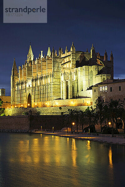 Catedral de Santa María de Palma de Mallorca bei Nacht  Palma  Mallorca  Spanien
