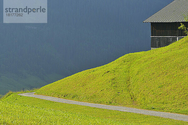 Wanderweg in den Bergen im Sommer  in der Nähe von Hirschegg und Mittelberg  Kleinwalsertal  Alpen  Vorarlberg  Österreich