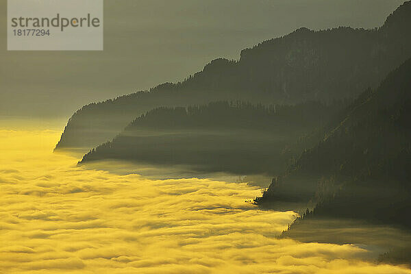 Morgendämmerung über Wolken in den Bergen  Gurnigel  Alpen  Bern  Schweiz