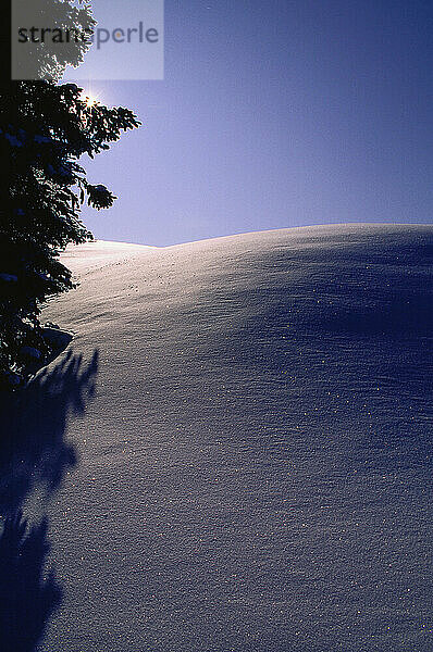 Winter  Ottawa  Ontario  Kanada