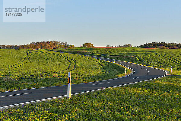 Landstraße im Frühling  Birkenfeld  Landkreis Main-Spessart  Franken  Bayern  Deutschland