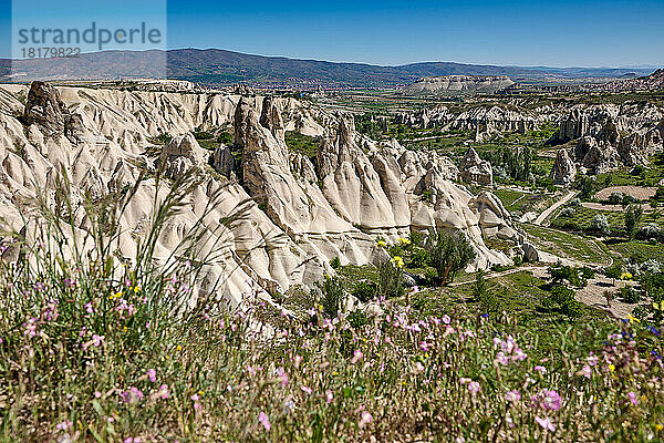 Landschaft mit Blumenwiese im love valley bei Göreme  Kappadokien  Anatolien  Tuerkei |landscape with wild flowers of love valley near Göreme  Cappadocia  Anatolia  Turkey|