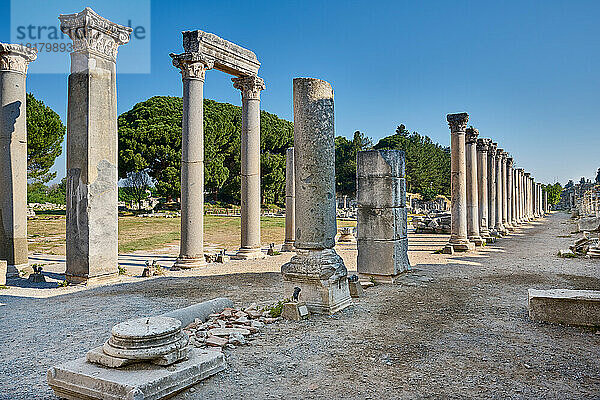Untere Agora von Ephesos  Ephesus Archaeological Site  Selcuk  Tuerkei |Tetragonos Agora (Square Market) or Commercial Agora   Ephesus Archaeological Site  Selcuk  Turkey|