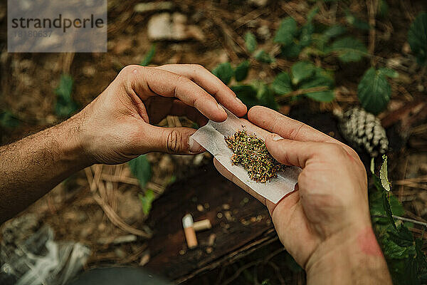 Hände eines jungen Mannes  der im Wald einen Marihuana-Joint dreht