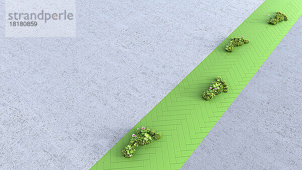 Dreidimensionale Darstellung pflanzenförmiger Fußabdrücke  die sich entlang eines grünen Fußwegs erstrecken