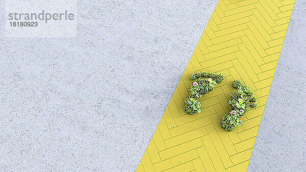 Dreidimensionale Darstellung pflanzenförmiger Fußabdrücke auf gelbem Fußweg