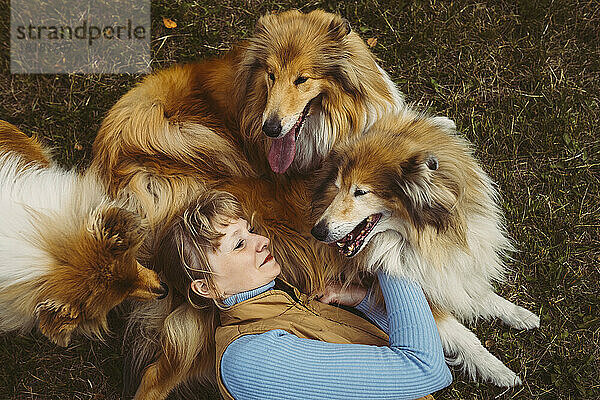 Lächelnde Frau liegt mit Collie-Hunden auf Gras im Park